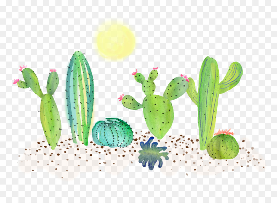 vegetali, illustrazione - cactus carino