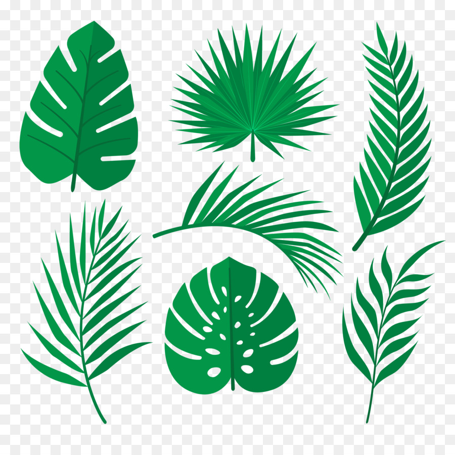 Palm Trees, Tropical Rainforest, Leaf, Rainforest, Set, Line, Element, Gree...