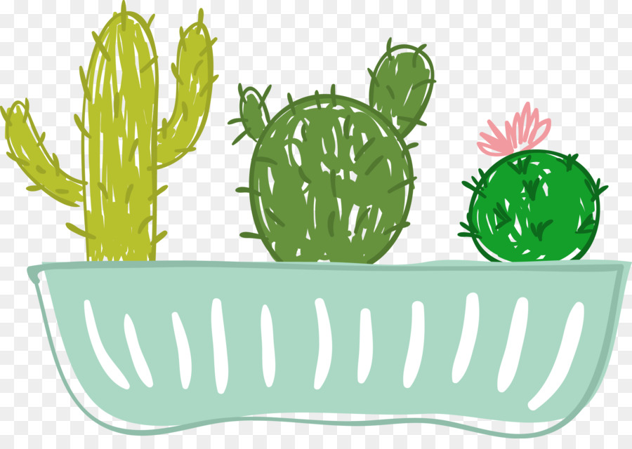 Kaktus-Illustration-Grafik-Zeichnung-Blumentopf - Topf Kaktus