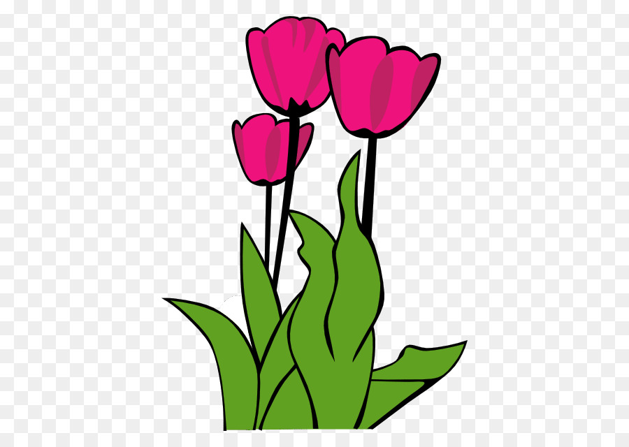 Tulip, Flower, Document, Plant Stem, Watercolor Painting, Plant, Pink, Flor...