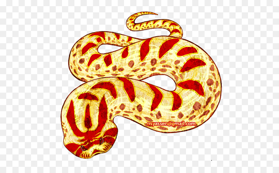 Western hognose serpente Serpenti Rettili anaconda Verde - albino modello