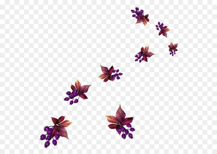 Blütenblatt Blüte Blatt Portable Network Graphics Clip art - 