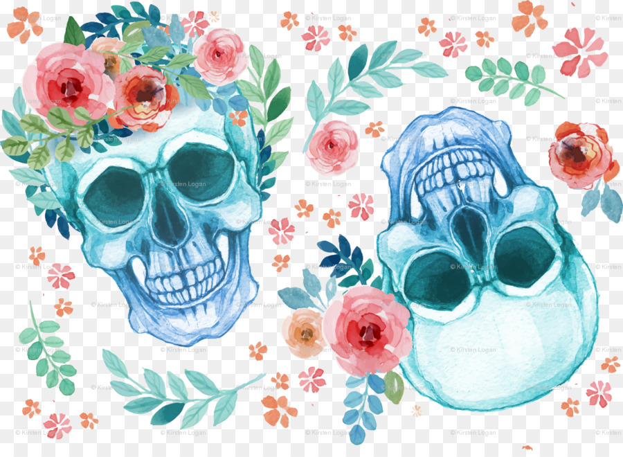 Màu nước sơn Mira Sọ thiết kế Hoa Vẽ - Hộp sọ
