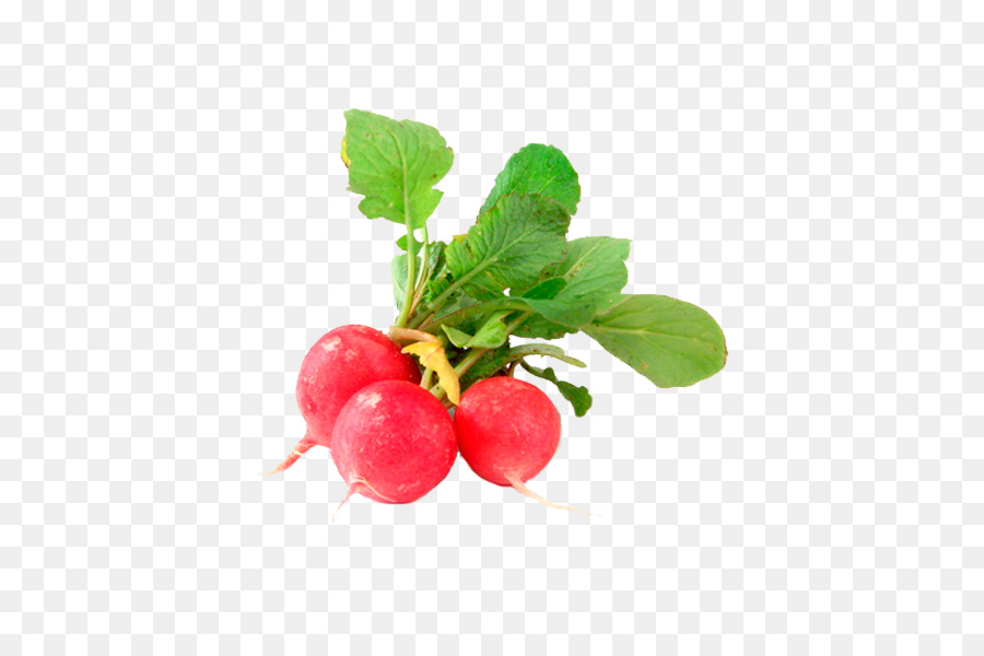 Rau Củ Cải Cranberry Củ Đậu - rau