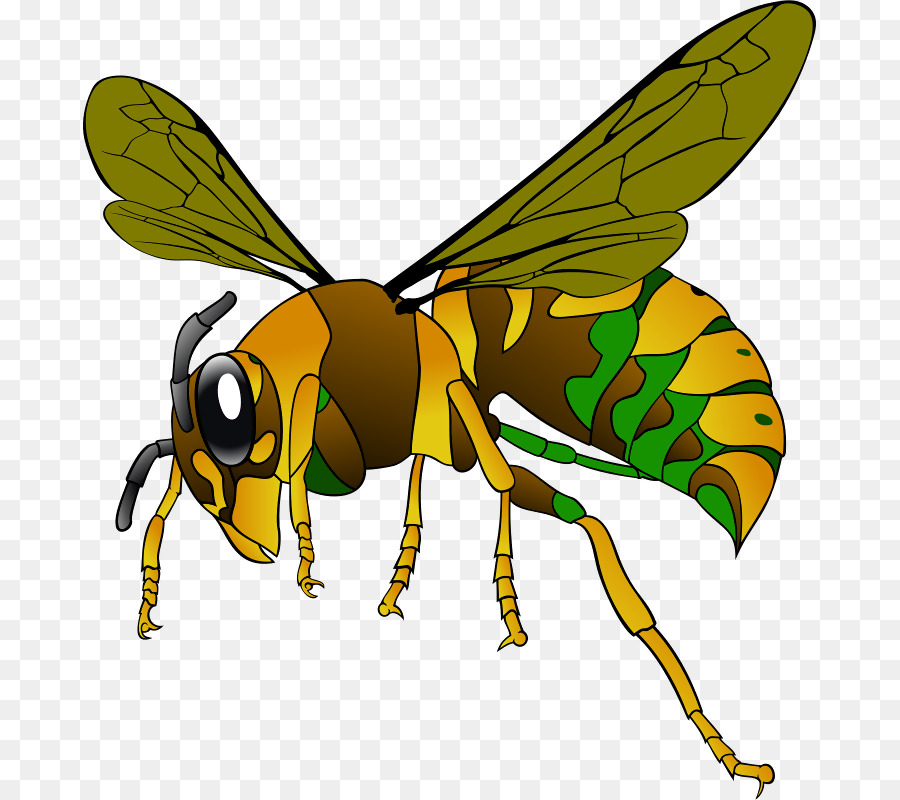 Clip nghệ thuật Western miễn Phí nội dung châu Âu hornet Wasp - bumble bee bóng