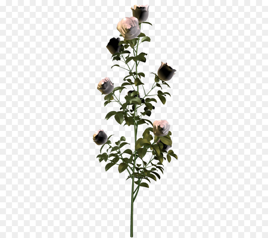 Hoa hồng trong vườn đồ Họa Mạng Di động Cây Hoa Clip nghệ thuật - 