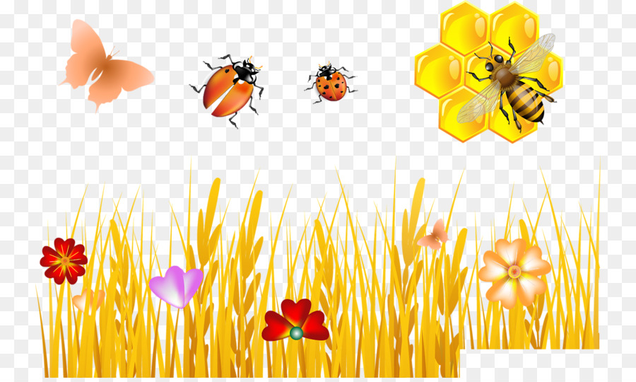 Bee trả tiền bản Quyền, đồ họa Véc tơ Chứng minh Chứng nhiếp ảnh - con ong
