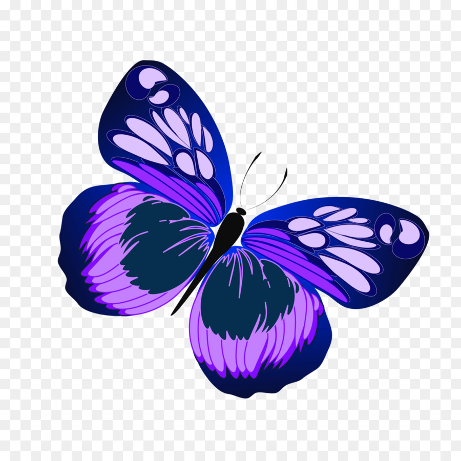 Clip art Portable Network Graphics Immagine Farfalle contenuti Gratuiti - amici farfalla