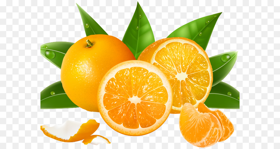 Juice Orange Portable Network Graphics Grafica vettoriale Clementine - pompelmi bandiera
