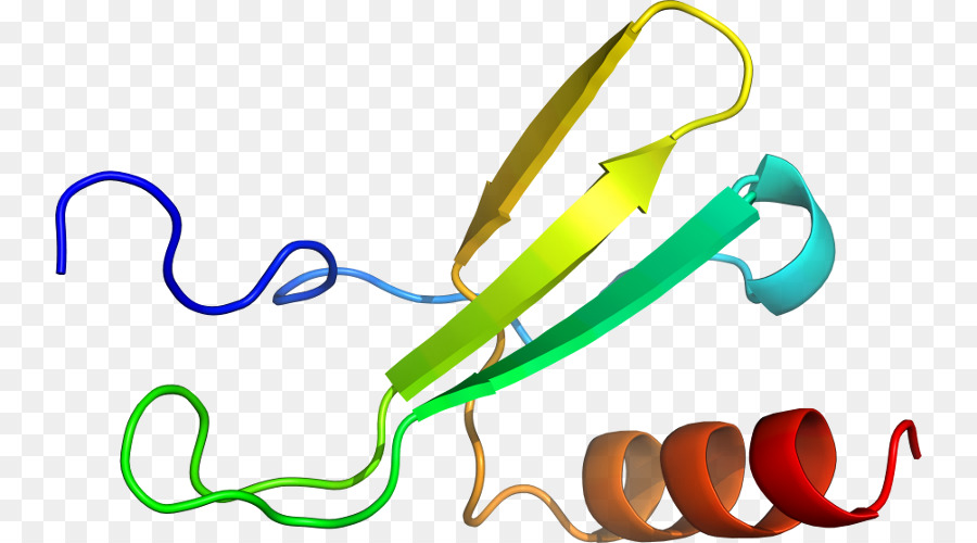 Il design di prodotto, Clip art Linea - proteine di struttura