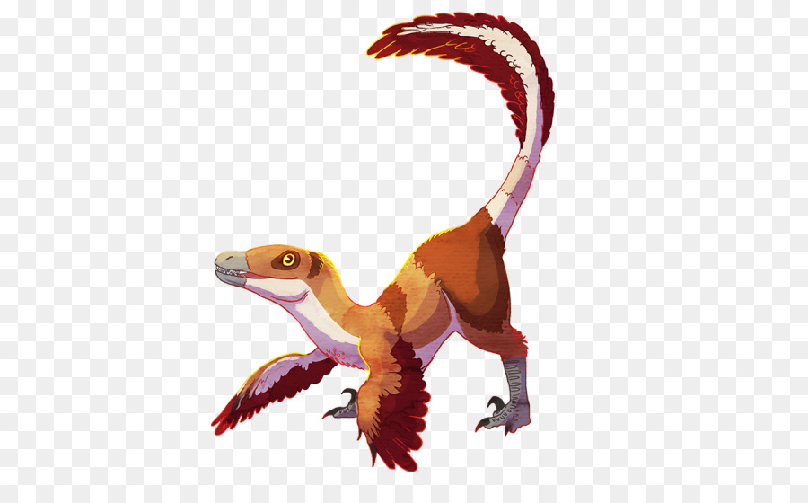 Velociraptor Toronto Raptors Drago Orso Medioevo - archaeopteryx modello