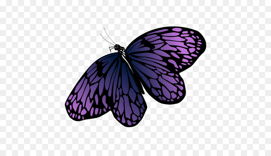 Farfalla monarca Illustrazione grafica Vettoriale Immagine - 