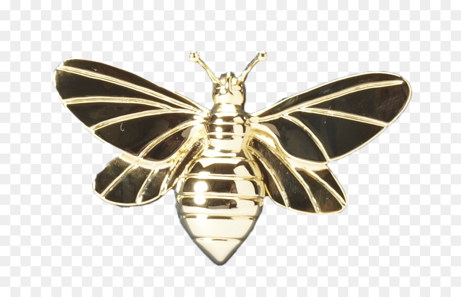Moth Côn Đồ Trang Sức Màng - đến trang trí