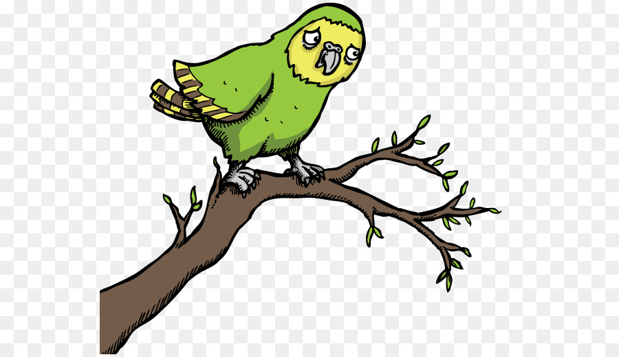 Cacao Macaw parrot uccello clip art - pappagallo