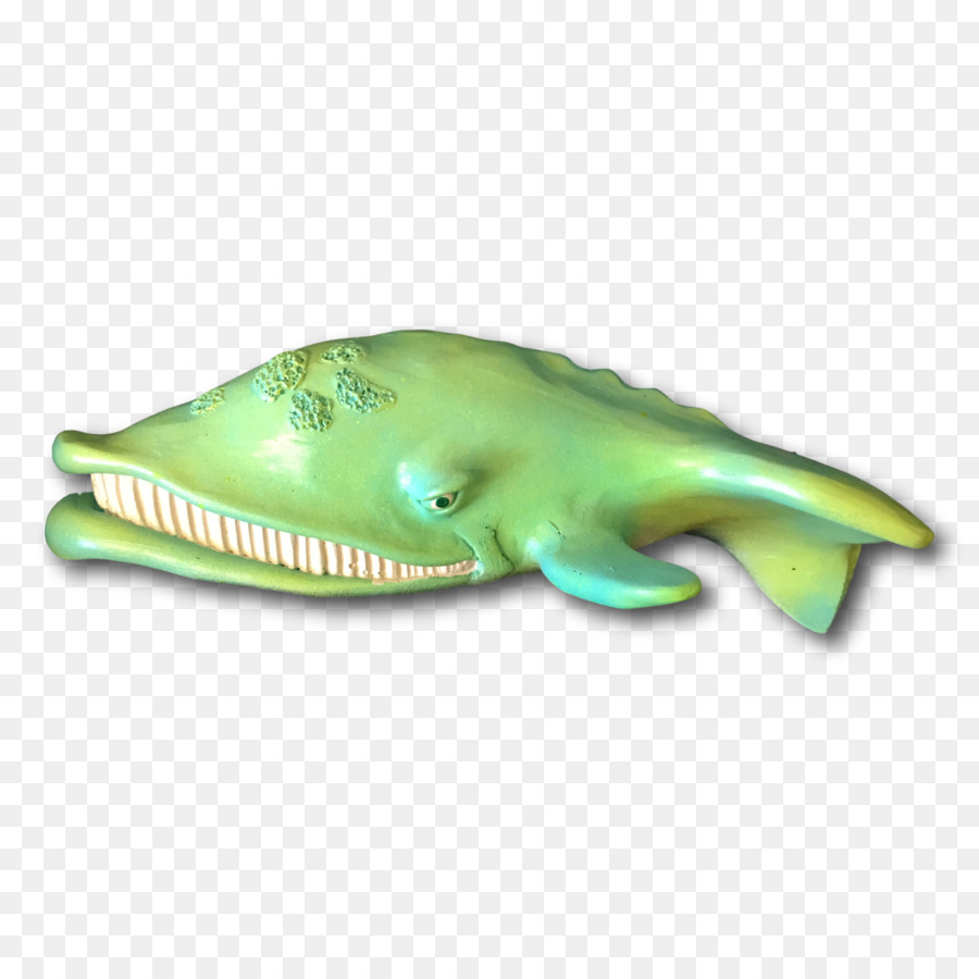 Loài bò sát Cá Hàm động vật Biển có vú - jokester trang trí