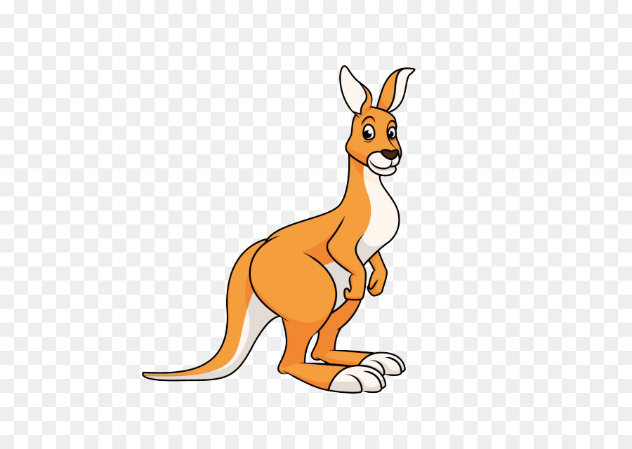 Kangaroo Cartoon png download - 626*626 - Free Transparent Kangaroo png  Download. - CleanPNG / KissPNG
