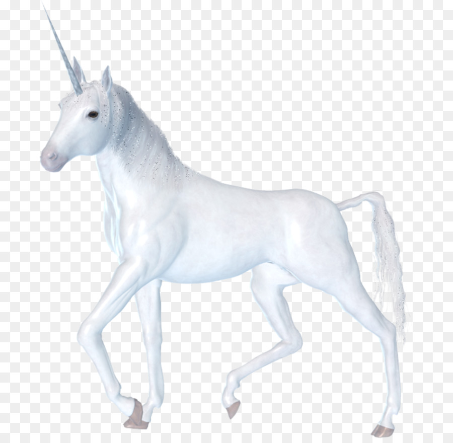 Unicorn horn corno di Unicorno Portable Network Graphics Immagine - unicorno