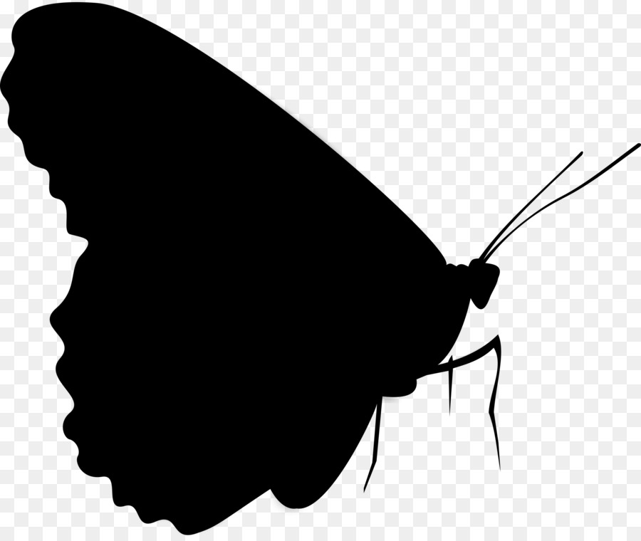 Bàn chân bướm Moth Clip nghệ thuật Bóng M. Bướm - 