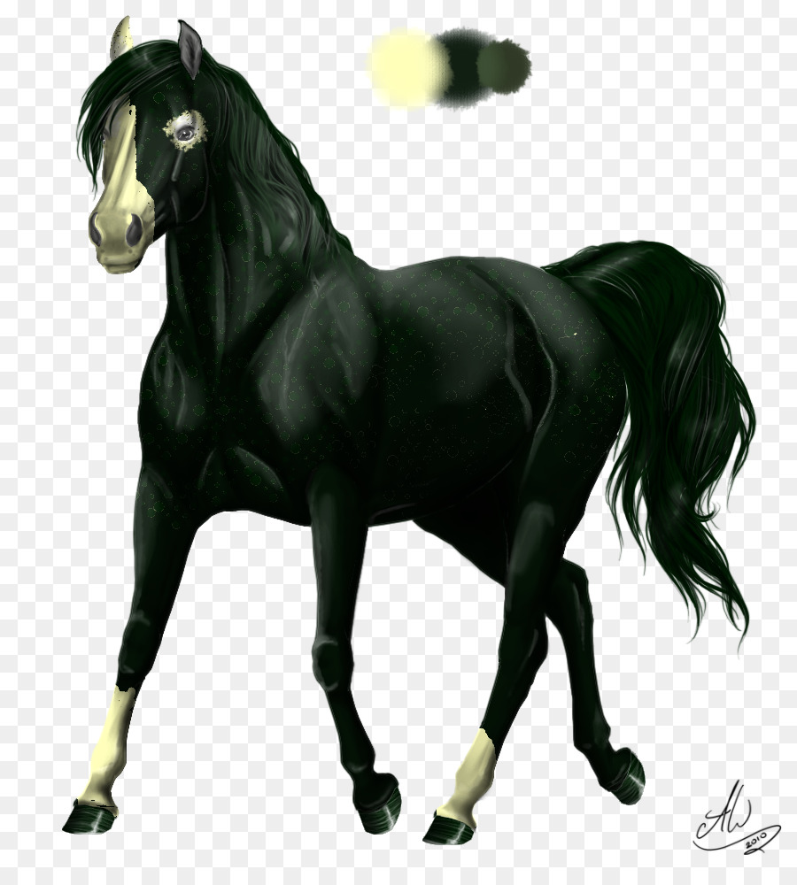 Appaloosa Pony Foal Fiordo cavallo Stallone - ago bandiera