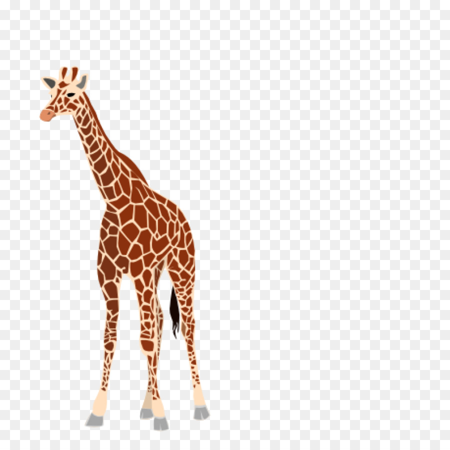 Baby Giraffe Clip art Immagine Portable Network Graphics, grafica Vettoriale - ciondolo giraffa
