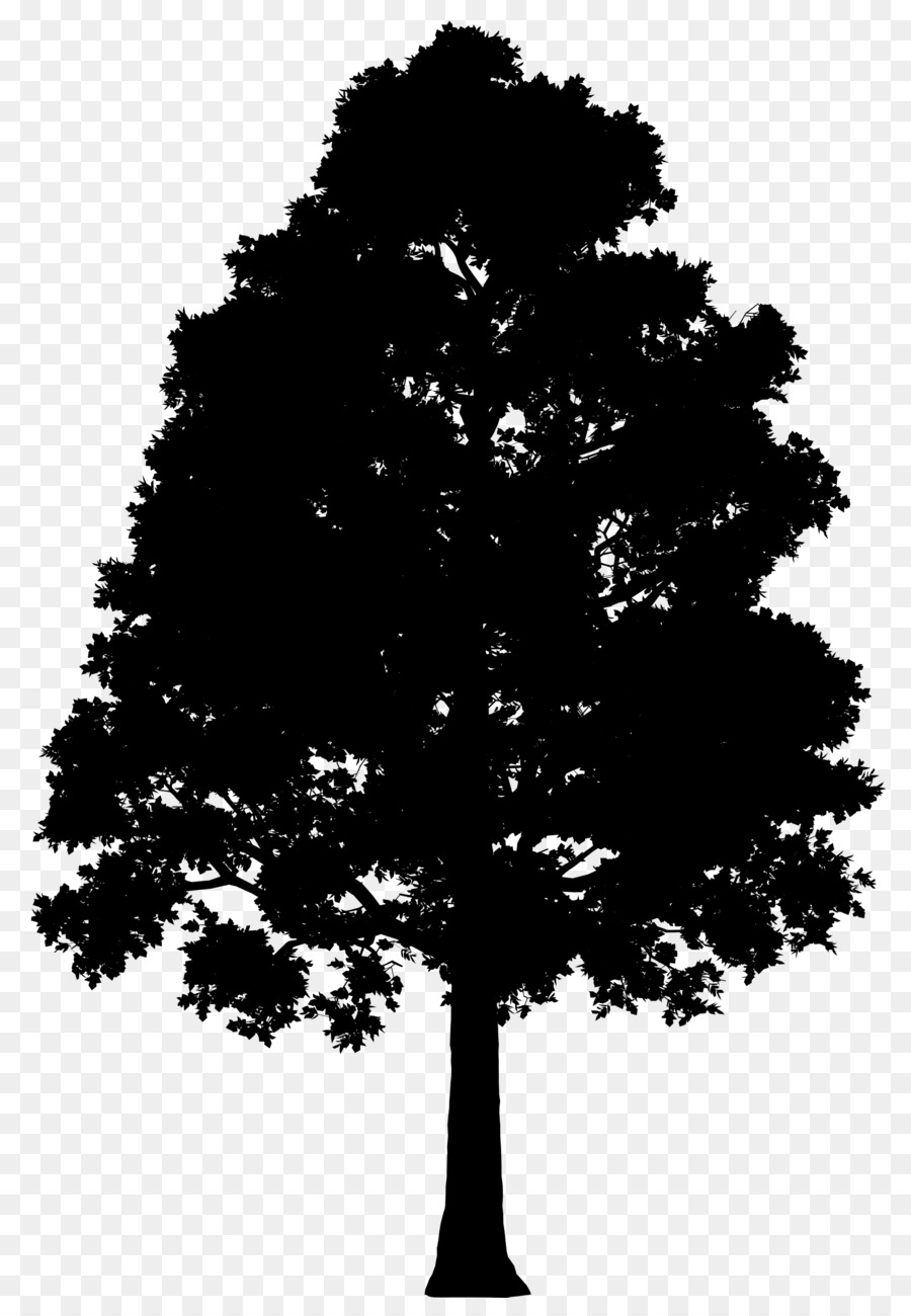 Family Tree Silhouette