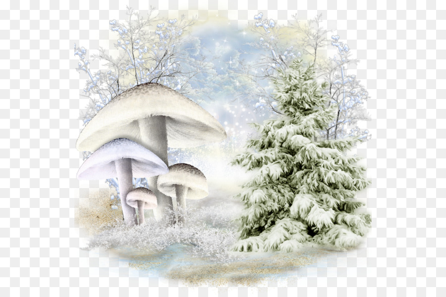 Abete, albero di Natale, Giorno di Natale, ornamento di Natale Inverno - albero di natale
