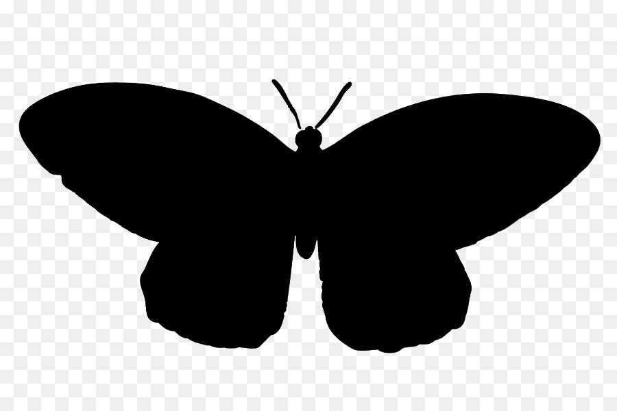 Spazzola zampe farfalle Falena clipart Silhouette M. Butterfly - 