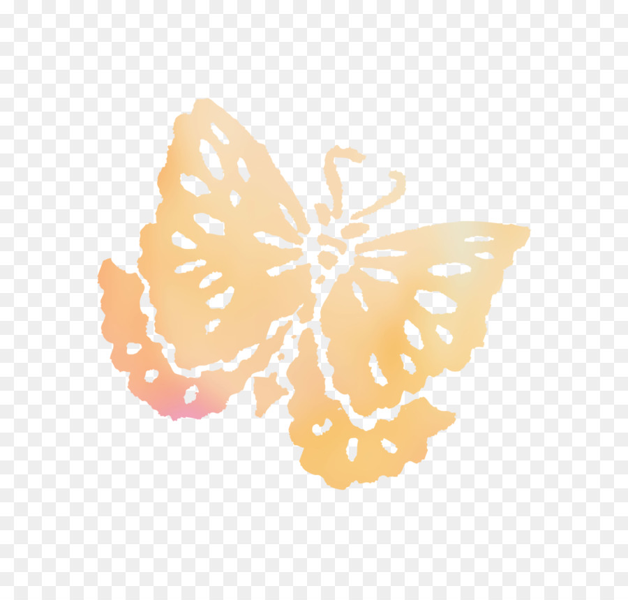 Farfalla monarca Pennello zampe farfalle Arancioni S. A. Tigre asclepiade farfalle - 