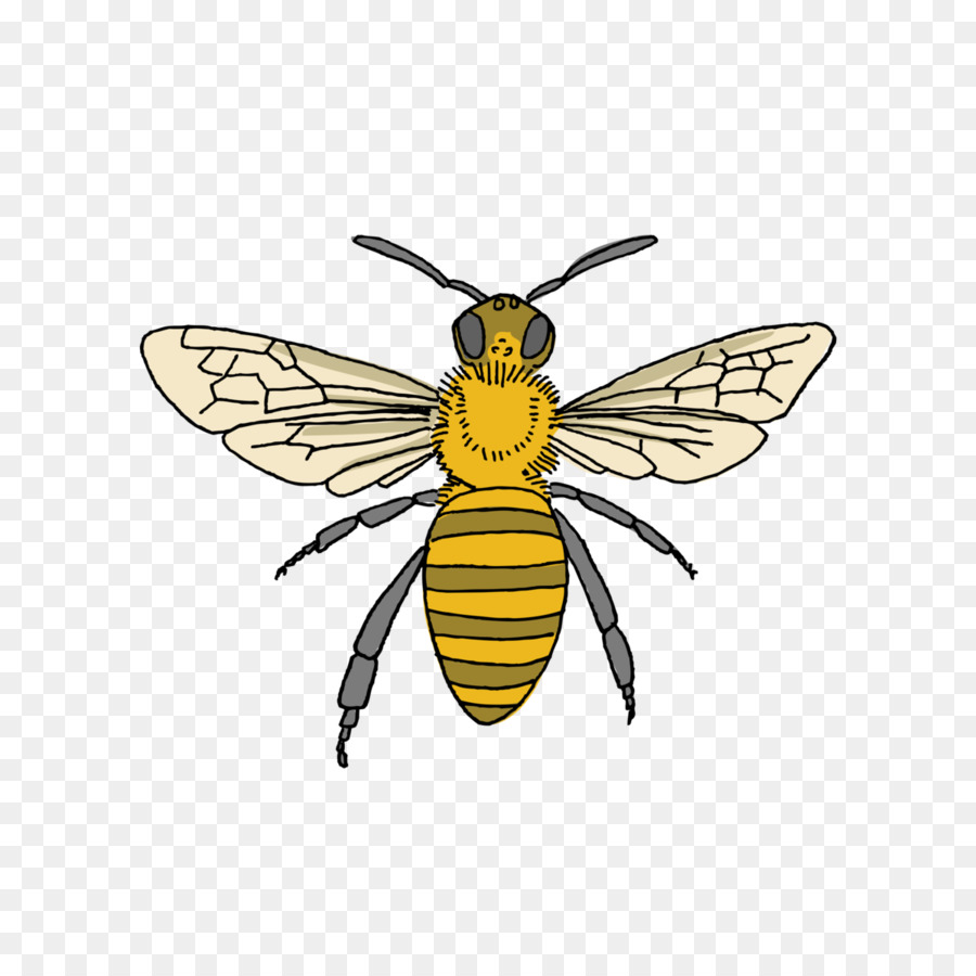 Tattly ong Mật Ong nuôi Ong hình Xăm - trung bình nước