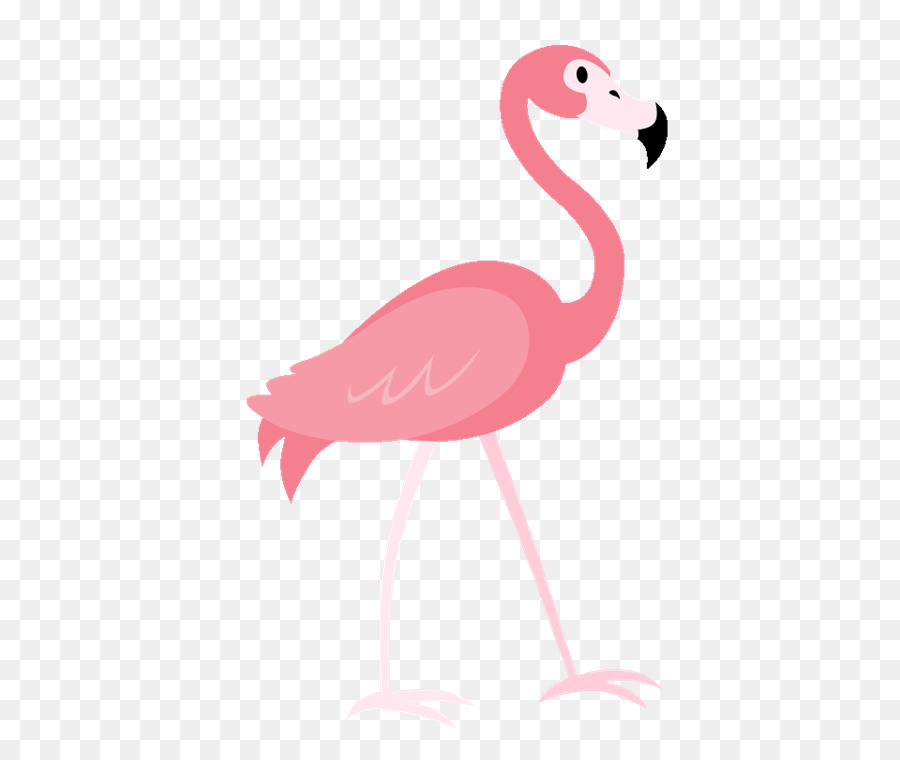Flamingo Immagine fotografia di Stock, Illustrazione - fenicottero