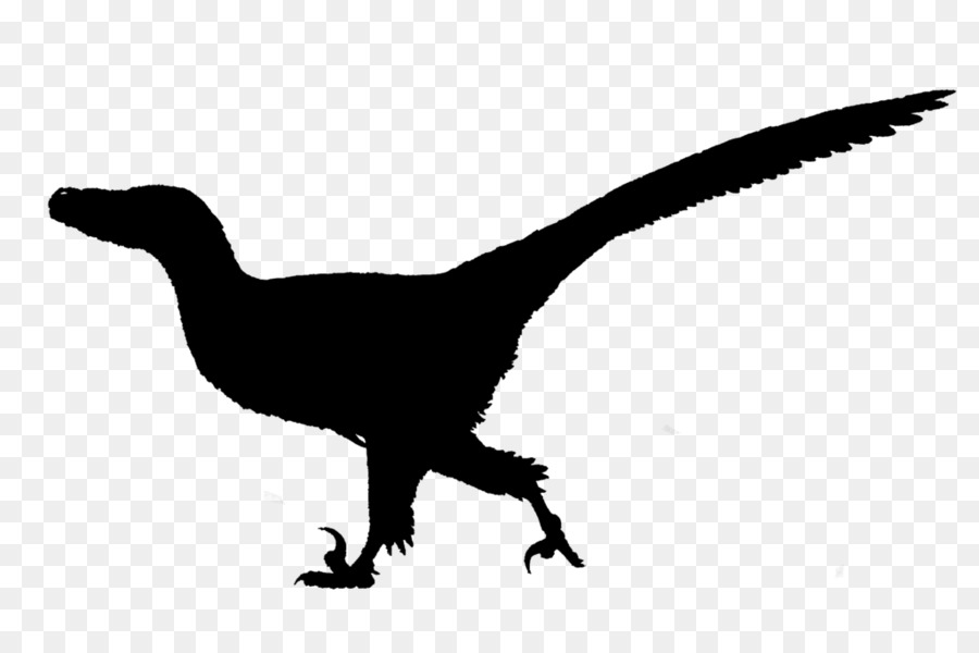 Tyrannosaurus Velociraptor Fauna Silhouette Becco - 