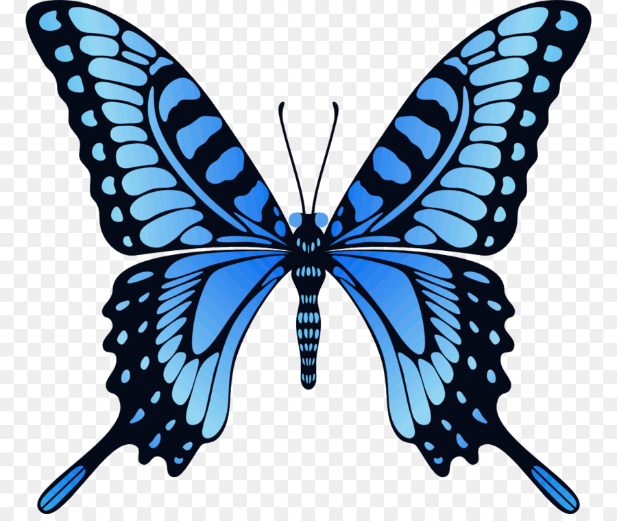 Farfalla Animazione GIF Immagine di Sfondo del Desktop - farfalla