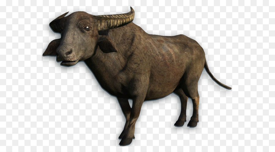 Animal Cartoon png download - 661*497 - Free Transparent Buffalo png  Download. - CleanPNG / KissPNG