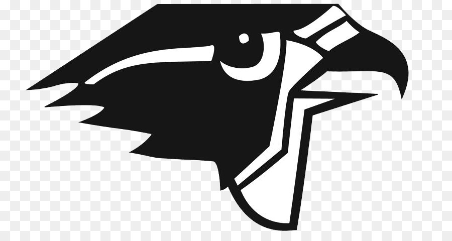 Burlington thị Trấn Trường trung học Atlanta Falcons đá Mỹ B. Giữ Trẻ Trường Tiểu học - Atlanta Falcons