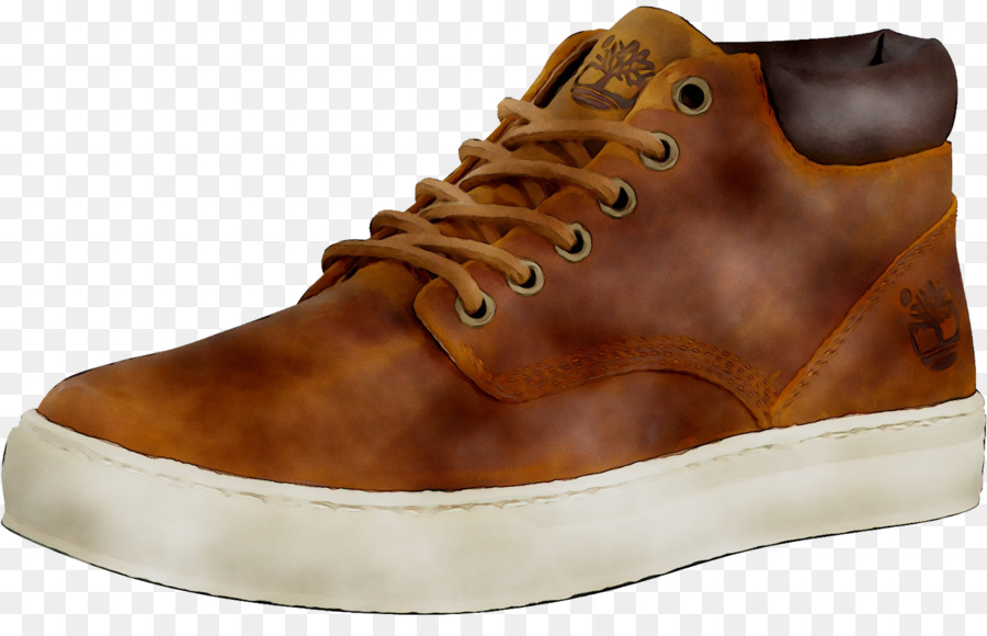 Sneakers Shoe