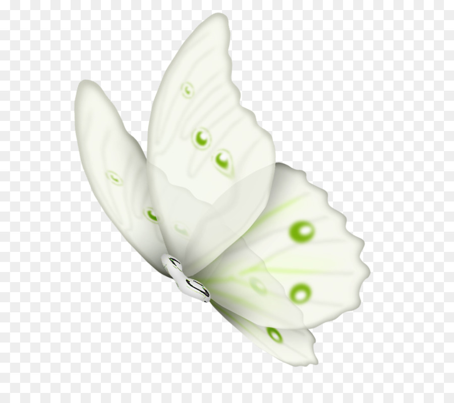 Farfalla Clip art, Illustrazione, Insetto Portable Network Graphics - farfalla
