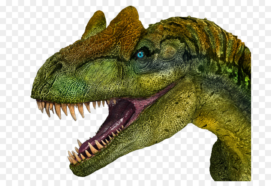 Carnotaurus Bảo Tàng Mô Phỏng Tyrannosaurus Voi Thế Kỷ Jura Tiến Hóa - Khủng long
