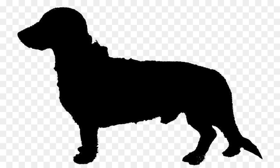 Chó Săn vàng Labrador Newfoundland chó Clip nghệ thuật - 
