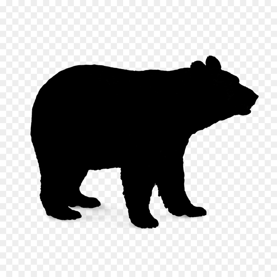 Orso polare, orso Bruno, orso nero Americano di grafica Vettoriale - 