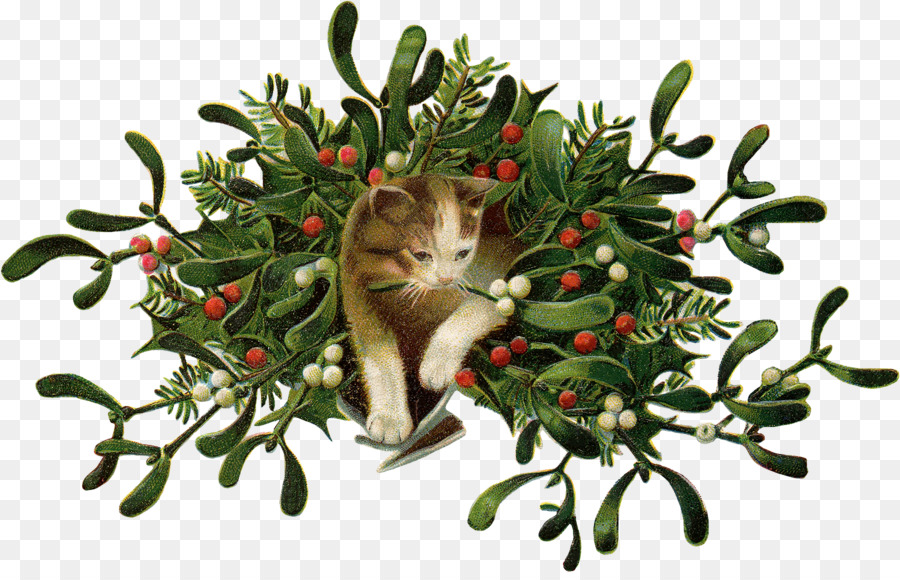 Mèo cây tầm Gửi Ngày Giáng sinh Clip nghệ thuật Vòng hoa - thanh thản banner
