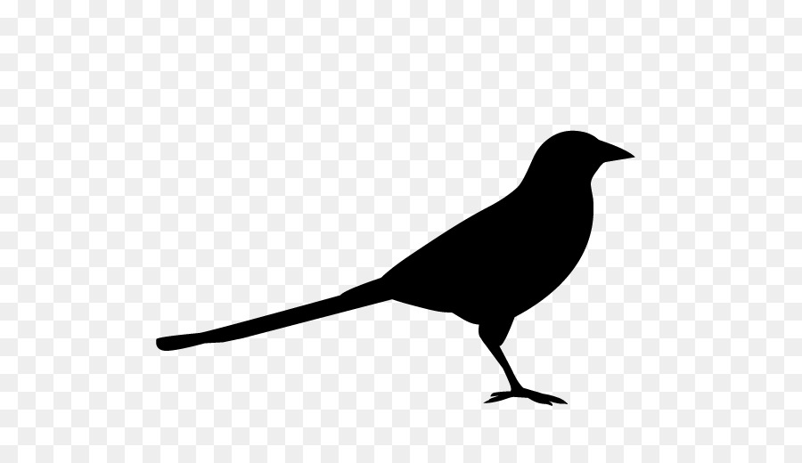 Logo Design Americano corvo Eurasiatico gazza Silhouette - 