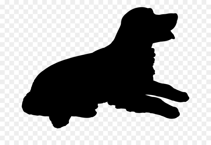 Cane di razza Staffordshire Bull Terrier Cucciolo di Boston Terrier - 