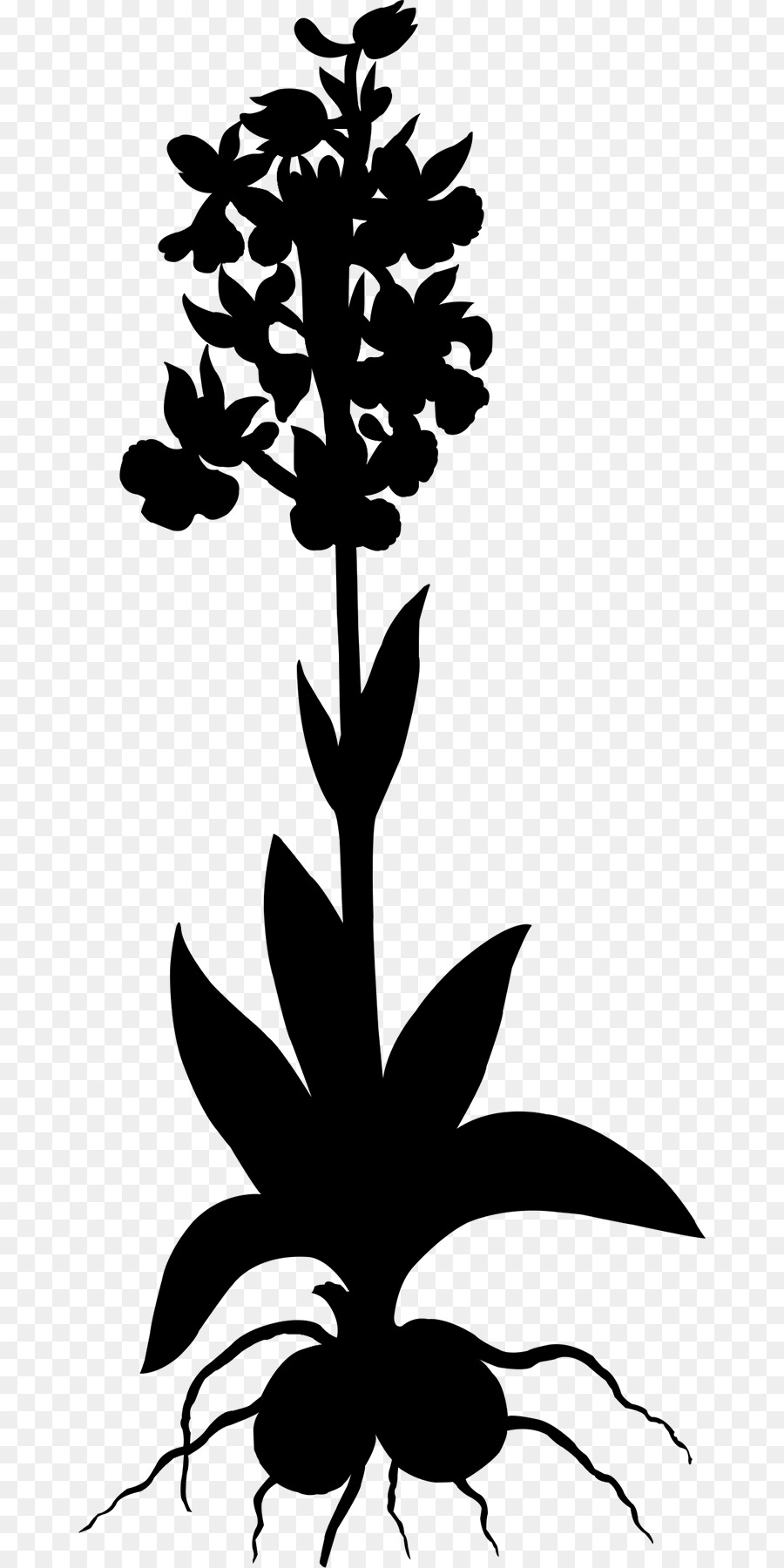 Lá thiết kế Hoa Clip nghệ thuật gốc Thực vật - 