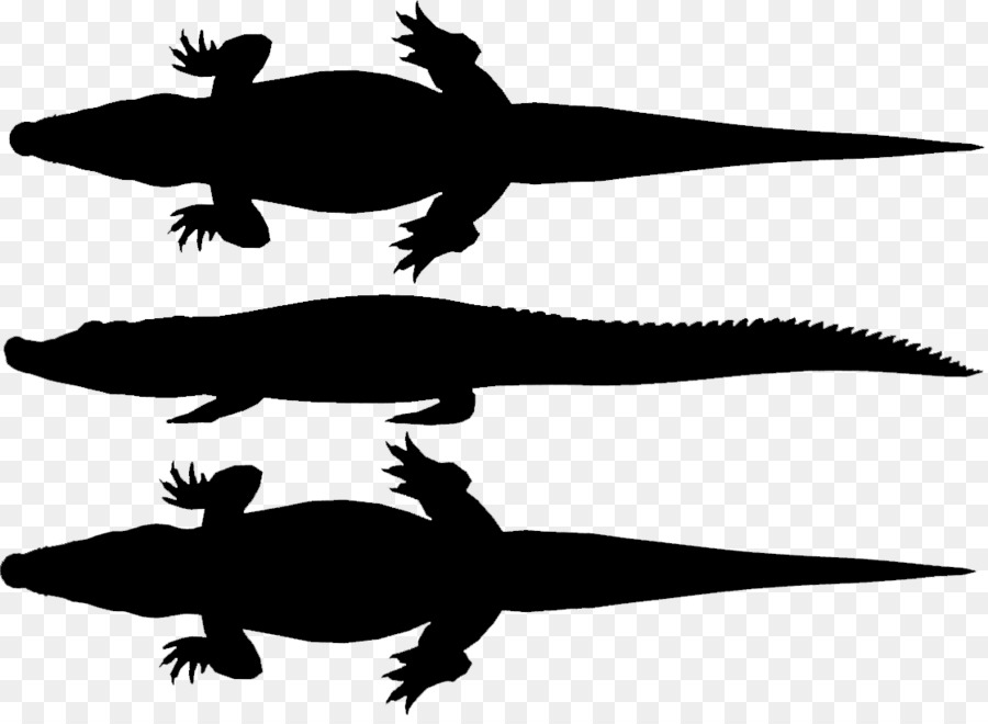Coccodrilli Tartaruga Anfibi Fauna Clip art - 