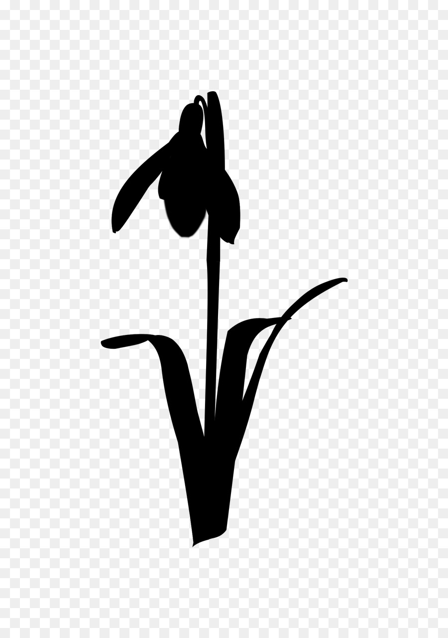 Schnabel-Clip art Blume Blatt Pflanze-Stiel - 