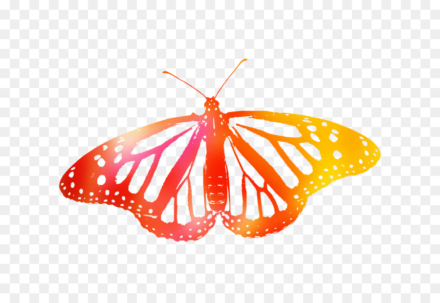 Farfalla monarca Pennello zampe farfalle Tiger Moth asclepiade farfalle - 