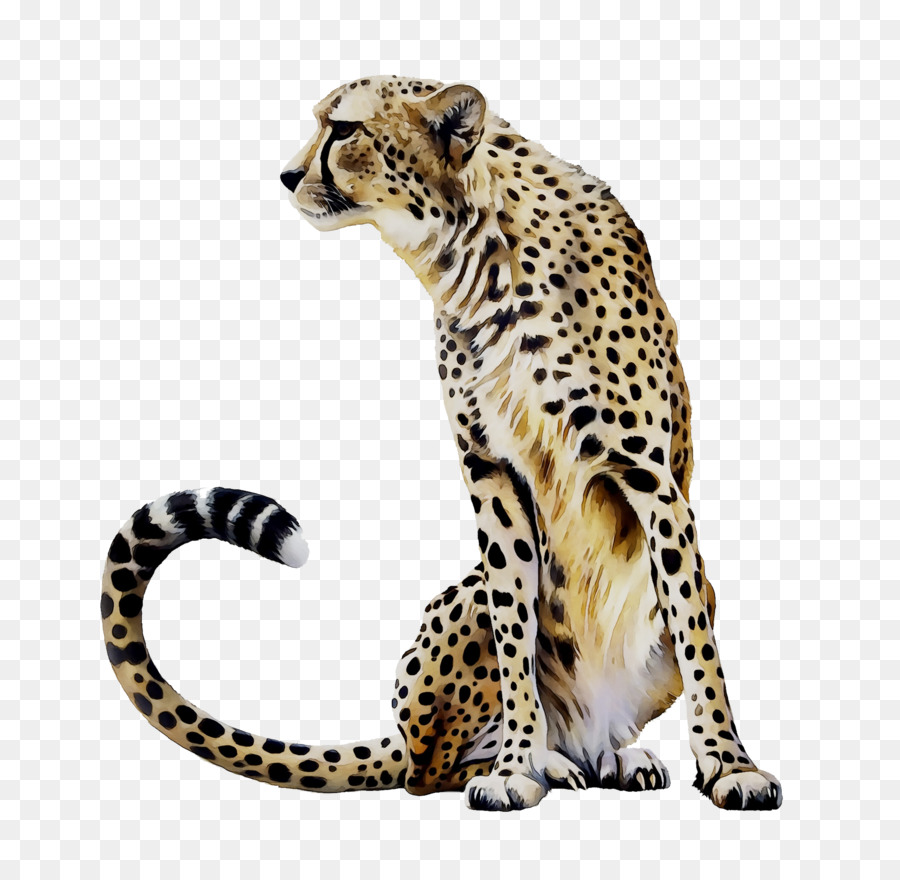 Báo Cheetah Jaguar mèo rừng gạch - 