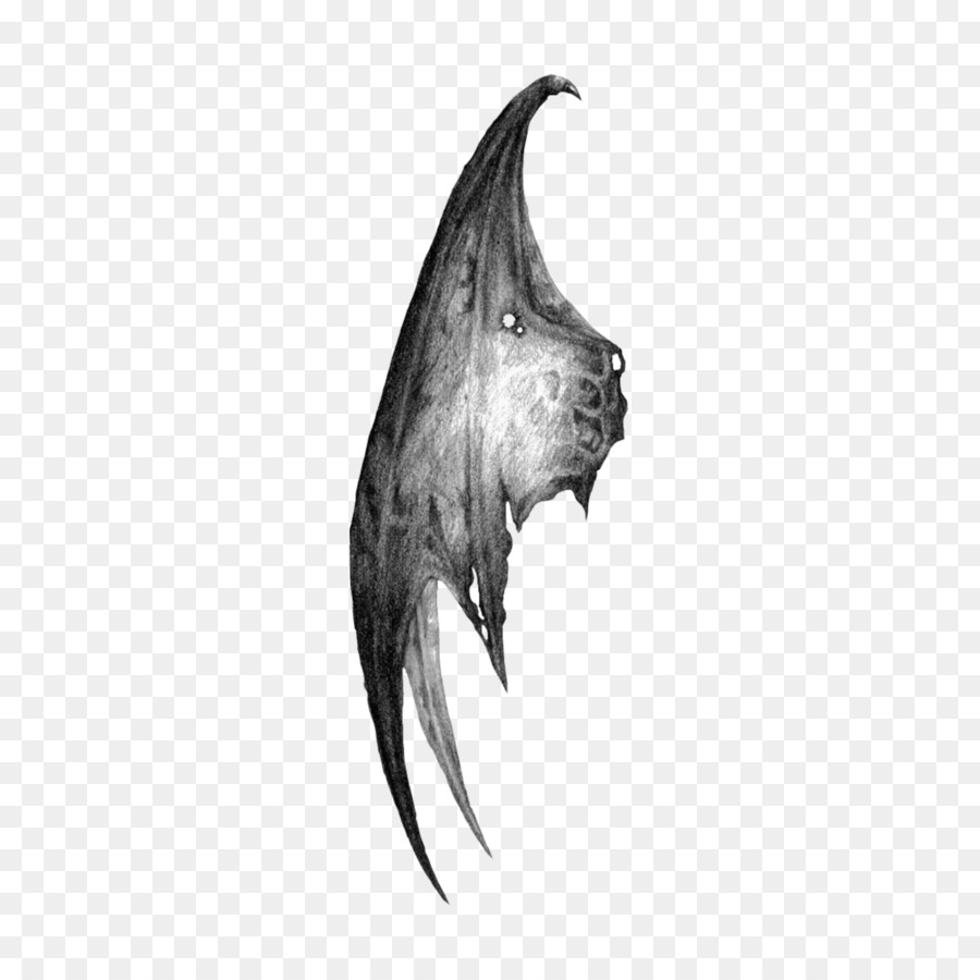 Drawing Dark Demon Wings PNG Images