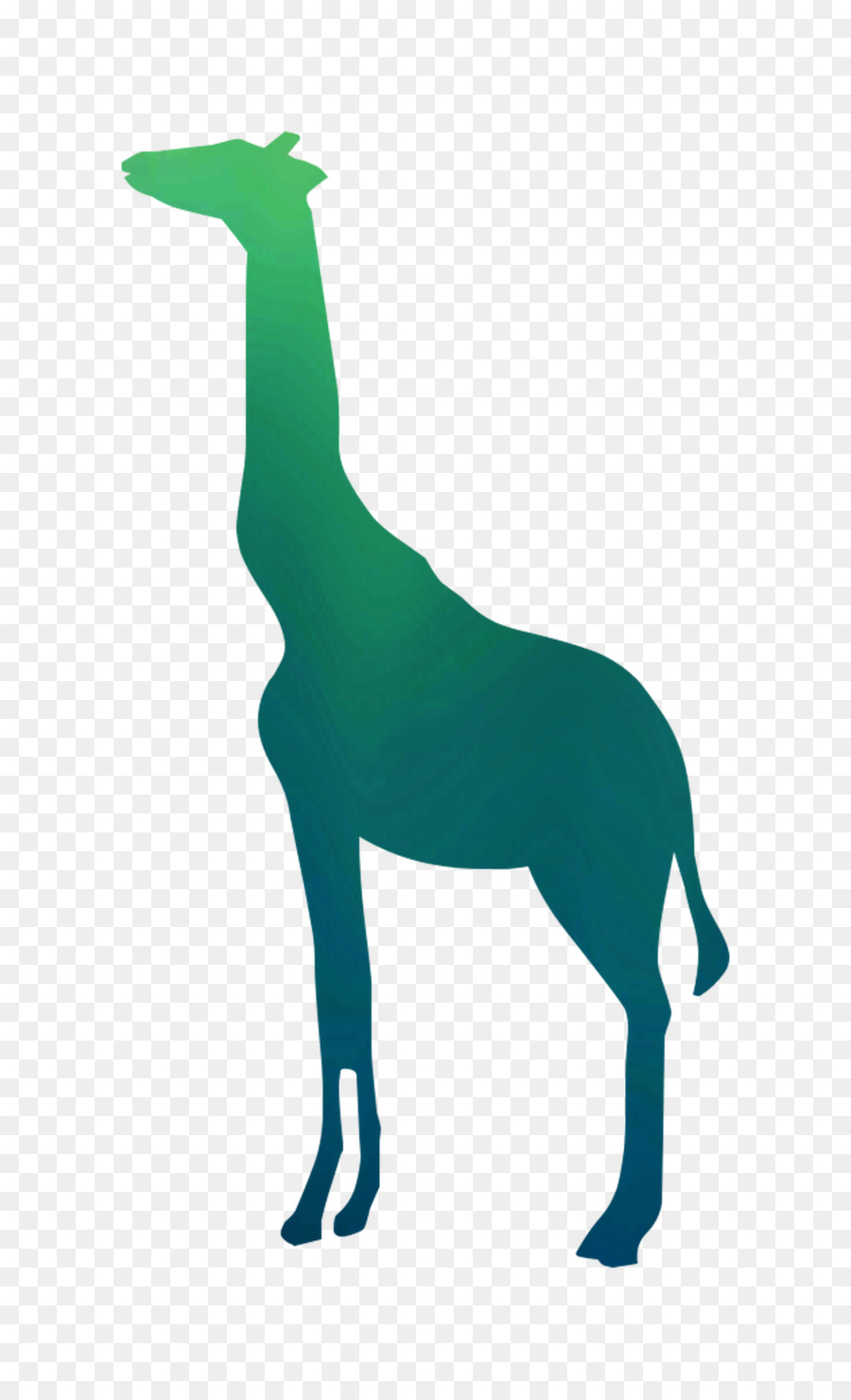Giraffa a Muro decalcomania Immagine Pubblicitaria grafica Vettoriale - 
