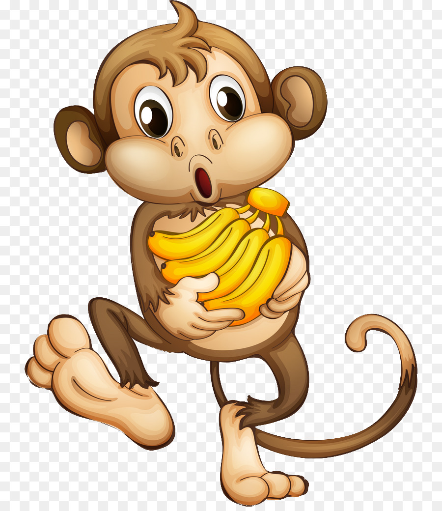 Monkey Cartoon png download - 800*1031 - Free Transparent Monkey png  Download. - CleanPNG / KissPNG